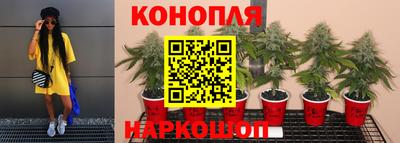 стафф Будённовск