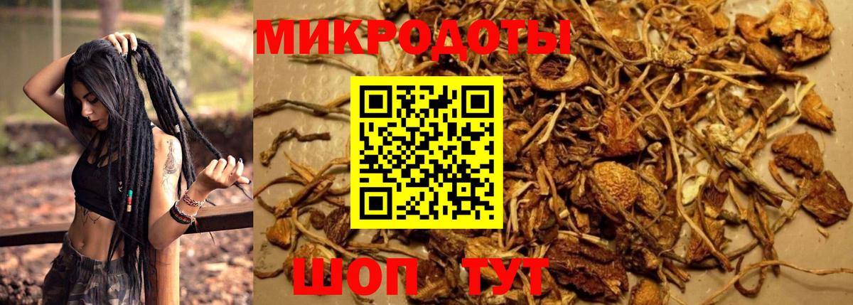 Галлюциногенные грибы Magic Shrooms Ярцево
